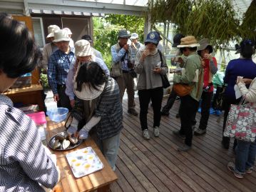 全部で13種類のマメを観察したあとは、アケビの実をお茶うけに、カワラケツメイの「豆茶」を楽しんで、閉会となりました。