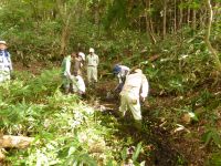 13日：岡山県自然保護センター 湿原保全活動（真庭市蒜山下和）