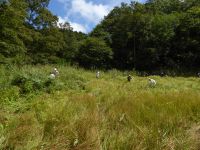 14日：岡山県自然保護センター 湿原保全活動（新庄村）