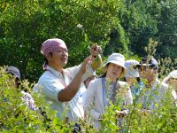 28日：植物園を楽しむ会（マメな植物観察を楽しむ）