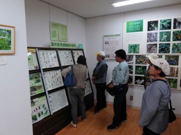 こちらは重井薬用植物園内の昆虫標本コーナー。植物園が植物だけでなく、たくさんの昆虫の棲みかとなっていることがうかがえます。