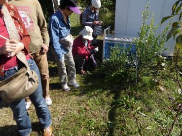 今回は「野草の香りを楽しむ」ということで、様々な植物の匂いをくんくんと嗅いでいきます。