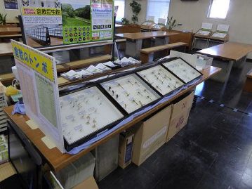 昆虫館からは、倉敷市内で記録されているトンボ75種類の標本の展示。結構貴重な標本が展示されていたようです。