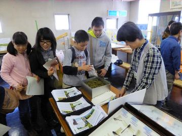 植物園からは、野草のタネの他にも、カワラケツメイのお茶葉もプレゼントしました。詰め放題です！