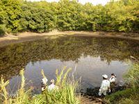 27日：明見谷池 生物調査