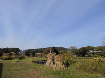 この日の参加者は30名でした。この日も気持ちの良い青空が広がっていました。