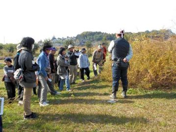 これはミヤギノハギ（植栽）。既に葉が散りかけていますが、春と秋の2度咲く種類ですので、「返り咲き」がなぜ起きるかの説明に使いました。