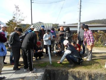 湿地エリアに移動しようとしたら、市道の道端にもいろいろ咲いています。