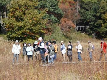 湿地に移動。すっかり緑色が無くなり、何もなくなったように見えますが…