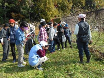 ユウスゲ植栽地前の広場。ここにも何かあったようです。