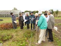 26日：山陽カルチャー倉敷教室 山野草講座 見学来園