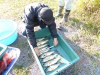 22日：明見谷池（植物園隣接のため池）生物（魚類）調査