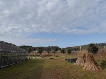 2014年最後の「楽しむ会」。ちょっと雲が多いですが、よい天気に恵まれました。