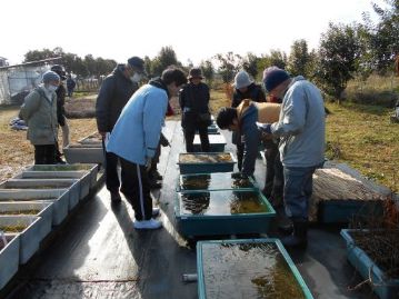 園長が氷を割って、冷たい水の中に手を突っ込んでいます。なにがあったのでしょうか。