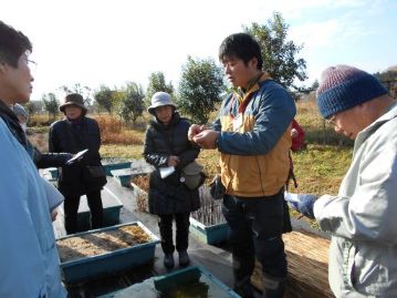 底に沈んでいたガガブタの「殖芽」を拾い上げました。足がたくさんあるタコのような姿をしています。