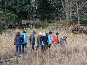 「何もない」ように思えますが、様々な植物が咲く湿地ですから、よく見れば、面白いものが…見つかったでしょうか？