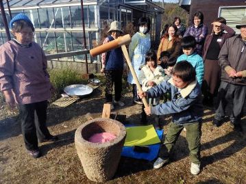 2臼目は、食紅を入れて、赤いお餅に。2臼目になると、子供もコツをつかんだようで、なかなかいい搗きっぷりです。