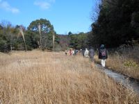 21日：定例観察会「植物園を楽しむ会（枯野の里山を楽しむ）」