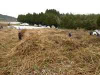 7日：ウスイロヒョウモンモドキ生息地草刈り保全活動