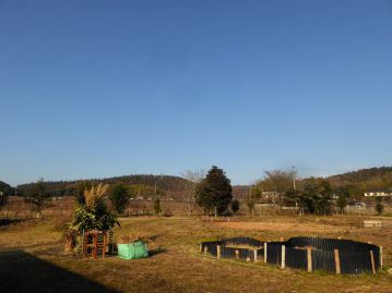 新年明けて、最初の植物園のイベントです。本日は快晴、風もほとんどなし。「とんど（どんど、左義長とも）」には絶好の天候です。