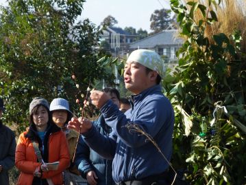 12月に開園50周年記念特別企画で開催した「もち花づくりでお正月」で作った「もち花」。餅は取り外して、どんど焼きの火で焼いて食べるのが本来だそうです。