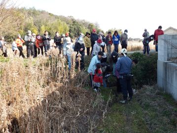 植物園南の休耕田のわきの水路をみんなでのぞきこんでいます。ここには何があったでしょうか。