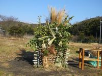 11日：園内の植物を利用して作製したどんど焼きのやぐら