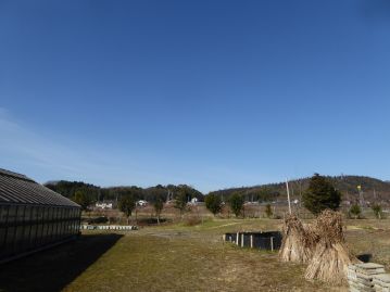 今回も朝から快晴。気温も暖かく、穏やかな日となりました。