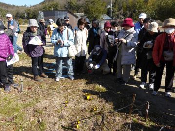 温室エリアの奥に移動。地面に黄色い花が咲いていました。