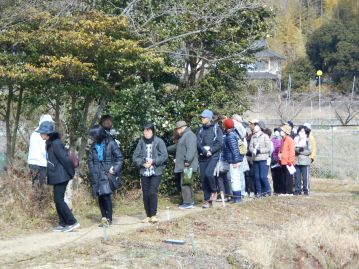 温室エリアの北西のあたりでは、花を咲かせた樹木がありました。