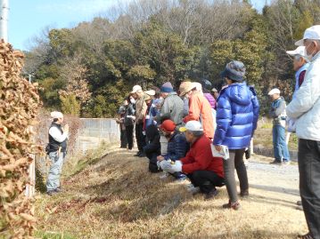 湿地エリアに移動する前に、温室エリアの入口わきに咲いていたカンサイタンポポを使って、3/1から始まる、「タンポポ調査・西日本2015」の説明をしました。