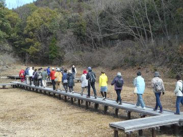 湿地の木道を歩く参加者。湿地の中はまだ、何も無いように見えますが…。