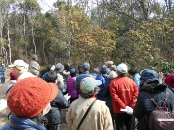 湿地エリア奥の広場で。奥に見える樹木に花が咲き始めています。