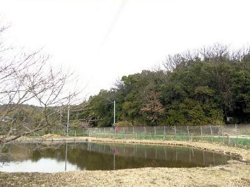 この日は春の日差しの下、のんびりと野遊びを楽しむ…はずだったのですが、あいにくの曇り空。