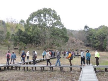 湿地の木道を歩きます。そろそろサクラソウも…と思っていたのですが、わりあい冷え込む日が続いていたせいか、まだ葉も出ていませんでした。