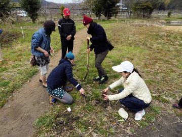 閉会後、希望者には園内のノビル掘りをしていただきました。春ならではのお土産です。