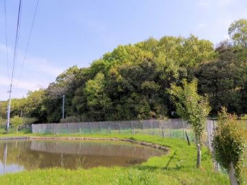 先月15日の楽しむ会では、まだ冬枯れの草が目立っていた植物園とその周辺ですが、この日は晴天に恵まれ、新緑も目に鮮やかです。