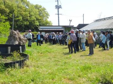 4月から山陽新聞の倉敷・総社圏版で始まった連載「重井薬用植物園の四季」の効果か、70人もの参加者がありました。