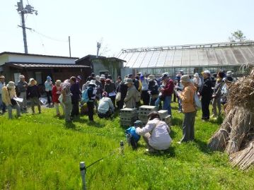 開会のあいさつの後は、その場で動かずに、足元に注目！春の花の代表選手、タンポポが咲いています。