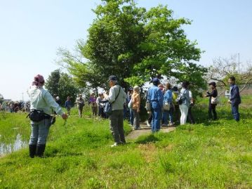 池の北にある樹木の葉の匂いをかいでもらうと、ごま油の匂いが。その名も「ゴマギ」です。