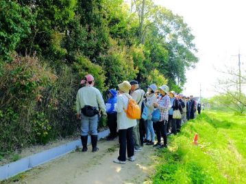 湿地エリアに移動する途中で、道沿いの樹木の観察。