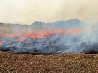 12日：真庭市蒜山地域 山焼き（火入れ）