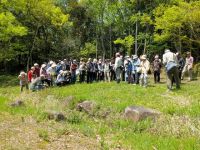 18日：植物園を楽しむ会（爛漫の春を楽しむ）