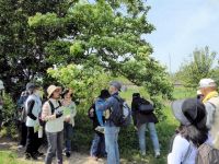 24日：赤磐市 西山公民館 自然観察講座 見学