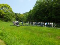 10日：「植物園を楽しむ会（新緑の里山を楽しむ）」