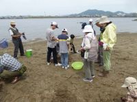 24日：自然観察会「寄生植物ハマウツボを見てみよう！河原の生き物観察会」