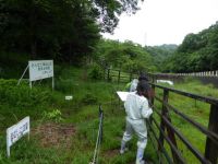 3日：種松山山草園 維持管理について現地確認