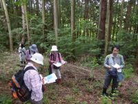 22日：おもつぼ湿原 植物調査（新見市 哲多町田淵）