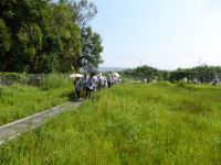 31日：徳島県薬草協会 見学