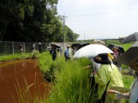 9日：広島山草会 見学